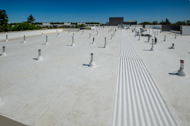 Waterproofing in Wells, NV